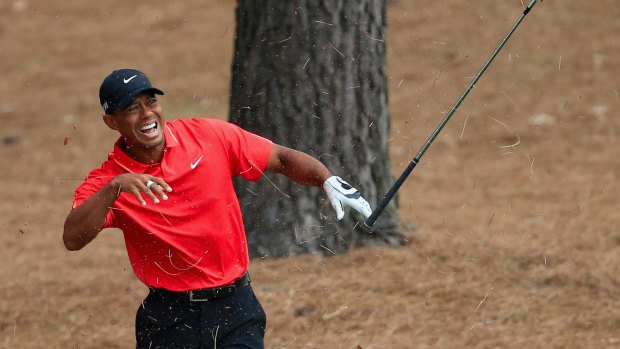 Sore one: Tiger Woods shows his discomfort after connecting with a tree root in the pine straw on the ninth.
