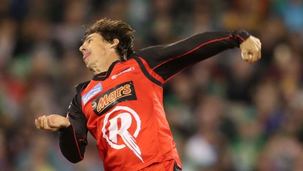 Brad Hogg says the threat of corruption "is a cloud hanging over the game".