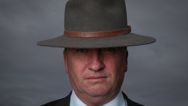 On the rise: Deputy Prime Minister Barnaby Joyce.