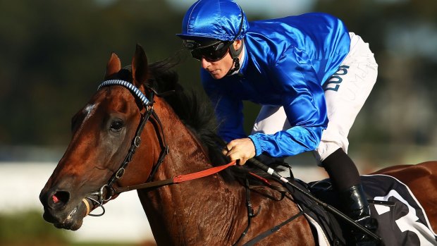 Heading the market: Hauraki is favourite for the Doomben Cup in a very open race.