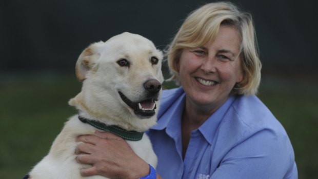 Director of Animal Welfare, Jane Gregor, with three-year-old Labrador cross, "George" at the RSPCA shelter at Weston.