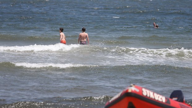 Come on in: Swimmers at St Kilda beach appeared un-fazed about a shark sighting.