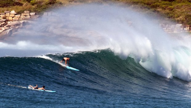 Lovin' it; Lifeguard and former pro-surfer Paul Moffatt catches a wave on a rescue board.