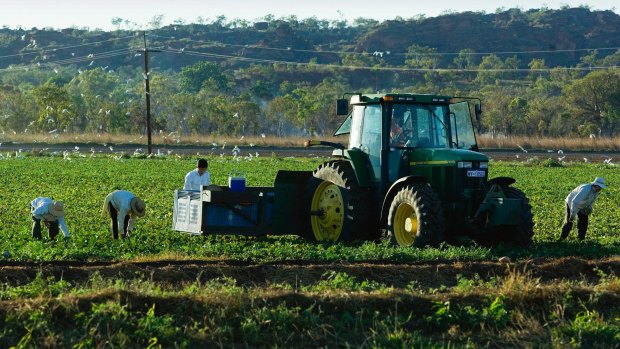 The Ord River Irrigation Scheme has been sharply criticised by WA's auditor general.