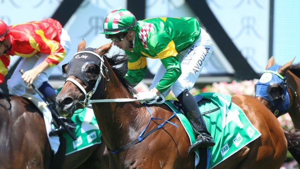 Drought breaker: Montauk will look to give Max Whitby a sort after Grafton Cup .