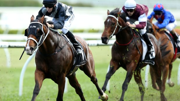 Counterpunch: Jason Collett and Counterattack take out the Brian Crowley Stakes at Randwick.