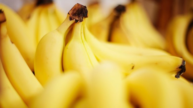 Tests from a quarantined north Queensland banana farm have confirmed the presence of a fungal infection capable of devastating the industry.