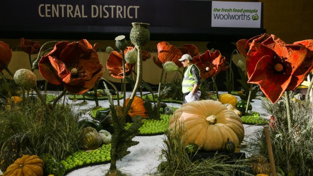 Volunteer Grant Frank works at ensuring the display, which includes giant poppies, is finished by the opening of the Royal Easter Show on Thursday.