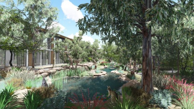 The proposal for the Australian Habitat and Taronga Wildlife Retreat.