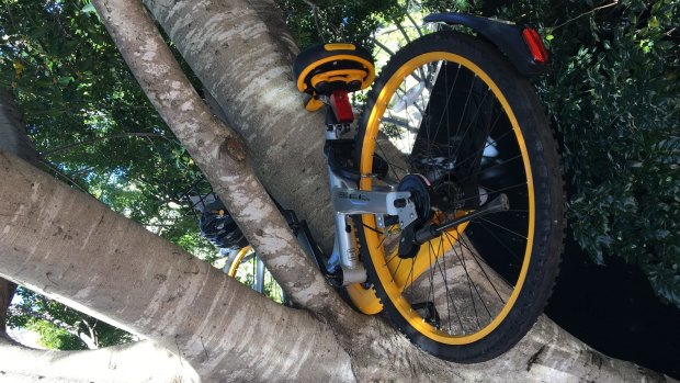 An illegally dumped Obike in Sydney's Darling Harbour precinct.
