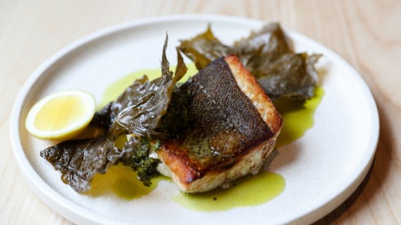 Murray cod with macadamia, vine leaf and salsa verde. 