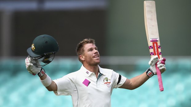 Dunce's cap to Baggy Green: It's a good thing David Warner could play cricket.