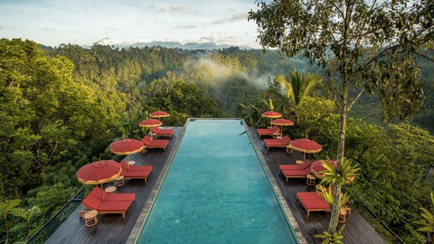 萤火虫在Buahan，一个榕树逃生:新巴厘岛逃生的“没有墙，没有门”的概念照亮了丛林