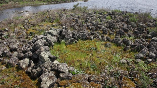 Remains of an ancient Indigenous stone house at Lake Condah, part of the Budj Bim landscape.