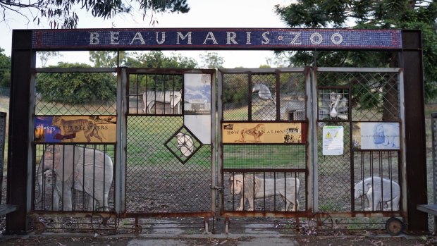 The metal sculptures entrapped on a gate that proclaims "Beaumaris Zoo" in retro mosaic could be obtusely provocative installations from Australia's mecca of shock-and-awe, MONA, only 10 kilometres away. 