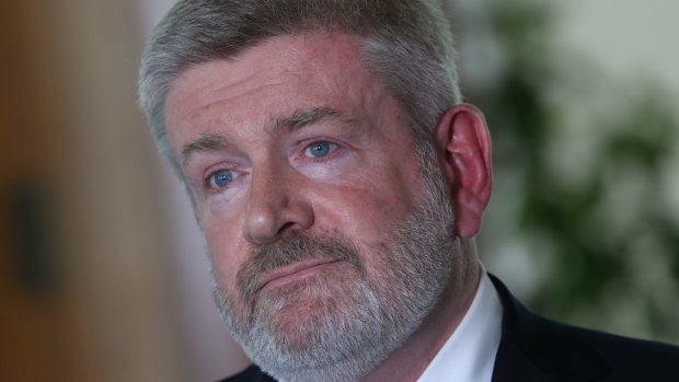 Communications Minister Mitch Fifield (above) said he encouraged then senator Stephen Parry to clarify his citizenship status.