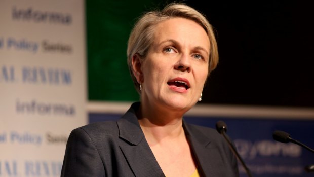Labor's Tanya Plibersek says it was the right decision for the Gillard government to promise that no school would be worse off under the Gonski funding reforms. 