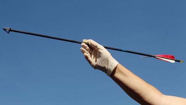 The man was shot with an arrow similar to the one pictured.