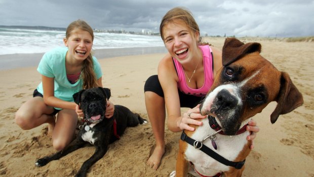 Sydneysiders have very few off leash option. But Emily,16, and Charlotte, 13, love taking their boxers Riley and Bessie to Wanda Beach near Cronulla.