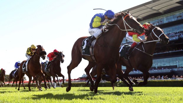 Surprise packet: Christian Reith and Le Romain (blue and yellow) score a massive upset in the Randwick Guineas.