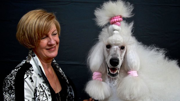 Lorraine Boyd with champion standard poodle Carla last year.