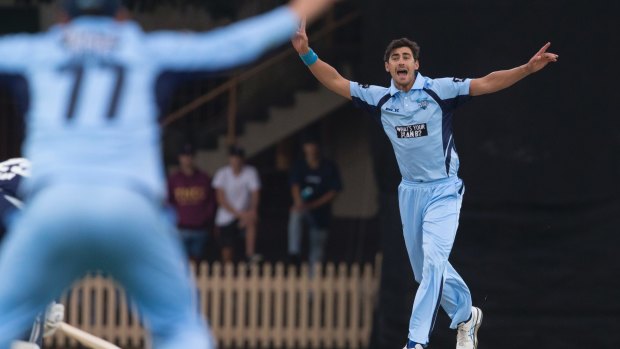 To no avail: Mitchell Starc appeals during NSW Blues' lost to Victoria.