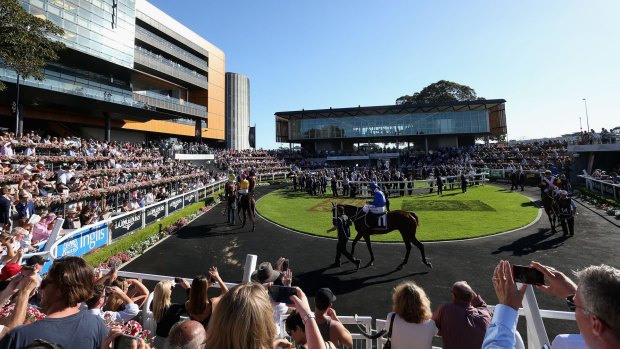 Tickets for Little Sydney, which overlooks the Theatre of the Horse, have nearly sold out for both days of The Championships.