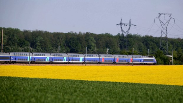The French fast train TGV passes a field of canola. 