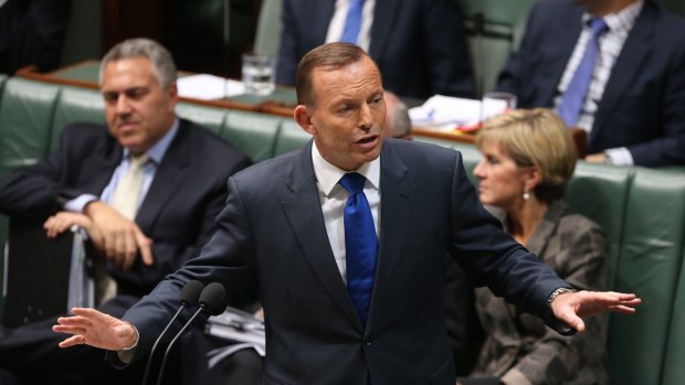 The government's rushed handling of its citizenship plans reflected badly on Mr Abbott, Bret Walker said.