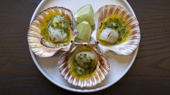 A wood-fired grill touches scallops (pictured), steaks, duck and more.