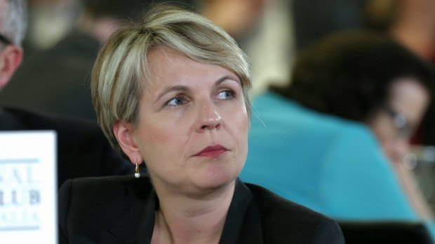 Has deputy Opposition Leader Tanya Plibersek misread the party mood over same-sex marriage?