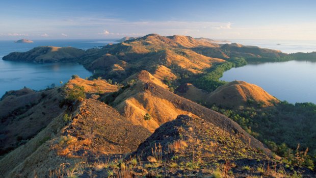 The Indonesian island of Flores.