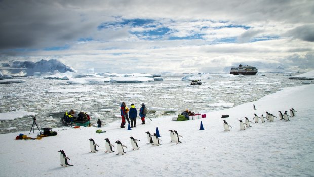 Icebergs and animals provide plenty of photo opportunities during a trip on MS Midnatsol in Antarctica.