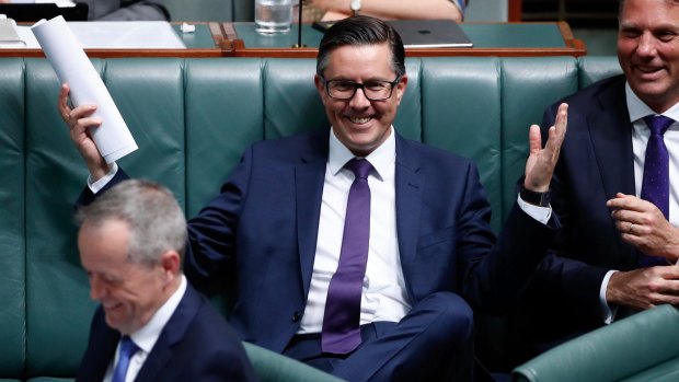 Calls for ALP to heed the example of British Labour: Mark Butler.