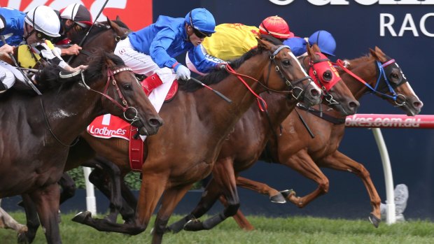 Jockey Craig Williams (blue top and cap) rides Hartnell to win the Orr Stakes at Caulfield.