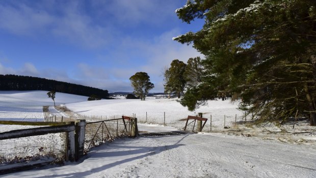 The Blue Mountains and beyond got a good dusting of snow over the weekend.