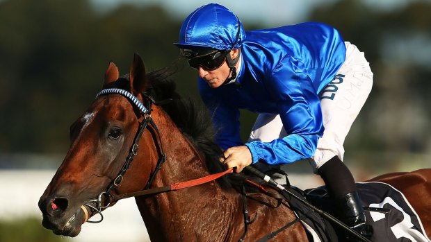 Fighting fit: Hauraki is in fine fettle as he prepares to resume at Randwick on Saturday.