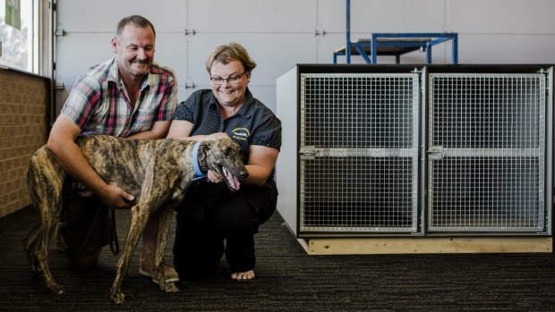 The Canberra Greyhound Racing Club, including secretary Debbie Collier pictured with trainer and breeder Jason Platts and Cupcake the greyhound, hope to meet with the RSPCA to defend the sport after calls for a ban in the ACT.