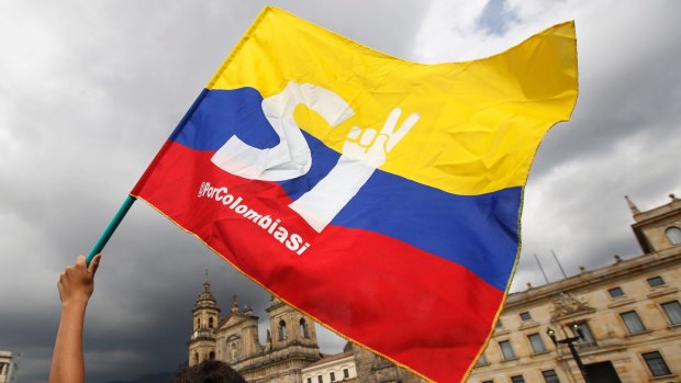 A supporter of the peace deal signed between the Colombian government and rebels of the Revolutionary Armed Forces of Colombia, FARC, wave a flag during a rally in front of Congress, in Bogota in October, 2016.