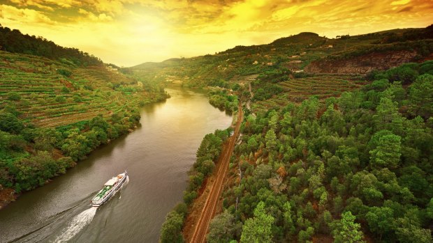 Vineyards in the Valley of the River Douro, Portugal.