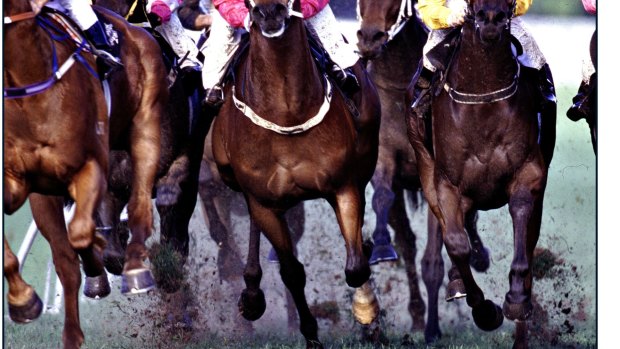Racing was suspended at the Sunshine Coast Turf Club due to adverse weather.