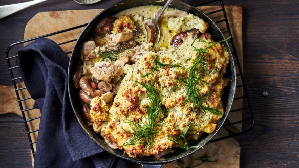 Mushroom braised chicken with horseradish and cheddar dumplings. 