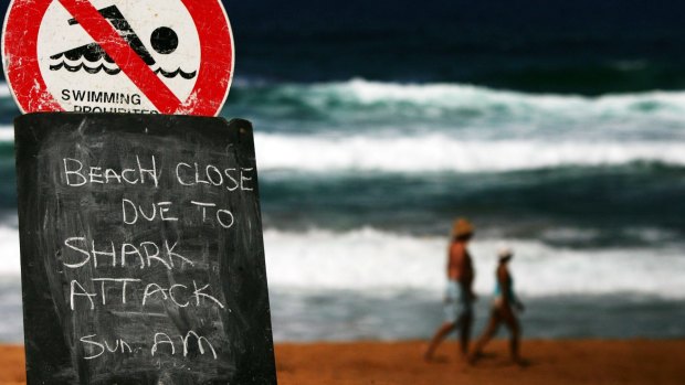 There have been a spate of shark attacks in WA.