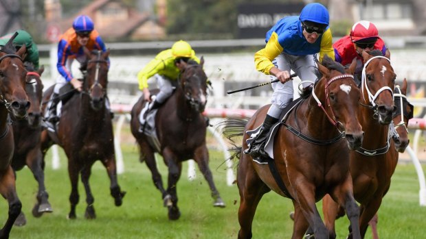 Brad Rawiller rides Black Heart Bart to victory in the Victoria Handicap at Caulfield.