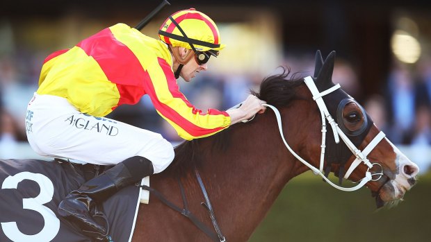 Rejuvenated: Tye Angland gets the best from I’m Imposing at Randwick.