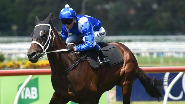 Pressure job: Chris Waller is looking for a jockey to fill for Hugh Bowman on Winx in next month's Apollo Stakes