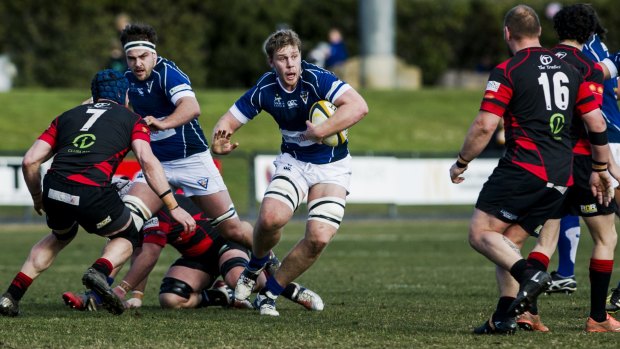 Royals' Tom Staniforth looks for a gap in Gungahlin's defence.