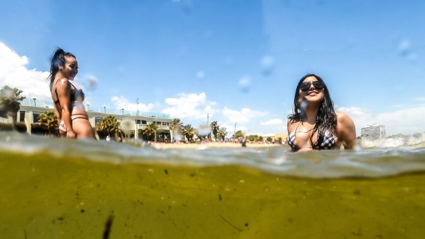 Despite an EPA warning of poor water quality,  people were still swimming at St Kilda beach on Wednesday. 