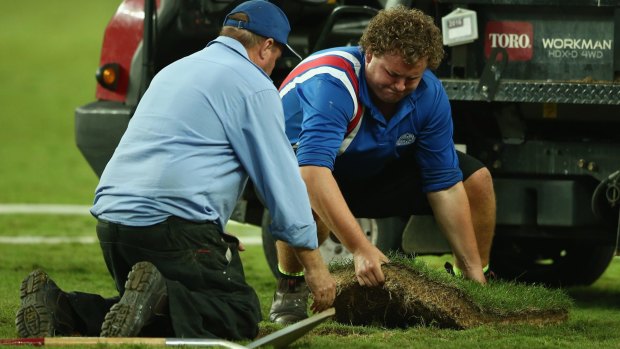 The playing surface at Allianz Stadium was in a state of disrepair in April last year.
