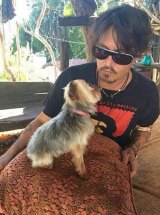 Johnny Depp with one of his Yorkshire Terriers.
